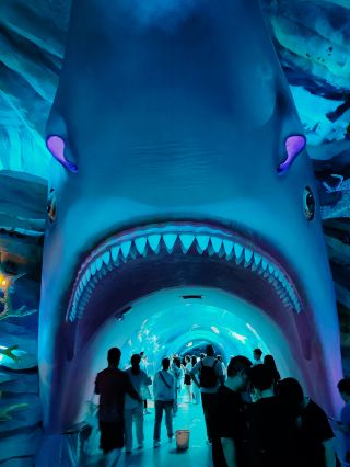 Xuzhou Underwater World is a magical place!