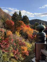 京都｜清水寺紅葉瀑布 風光無限