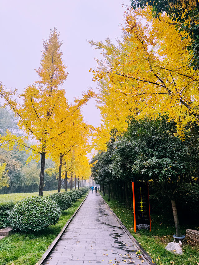 西安~秋風秋雨漫步中 西安~秋風秋雨漫步中