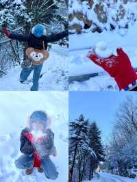 屁股坐爛去看雪