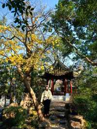 飽和度已拉滿的小園子——秋霞圃