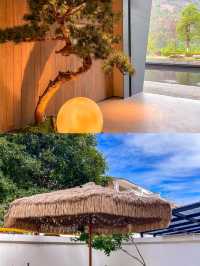 武夷山寶藏民宿，下次來還住這裡
