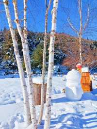 對不起了雪鄉，與之相比這裡更是童話世界！