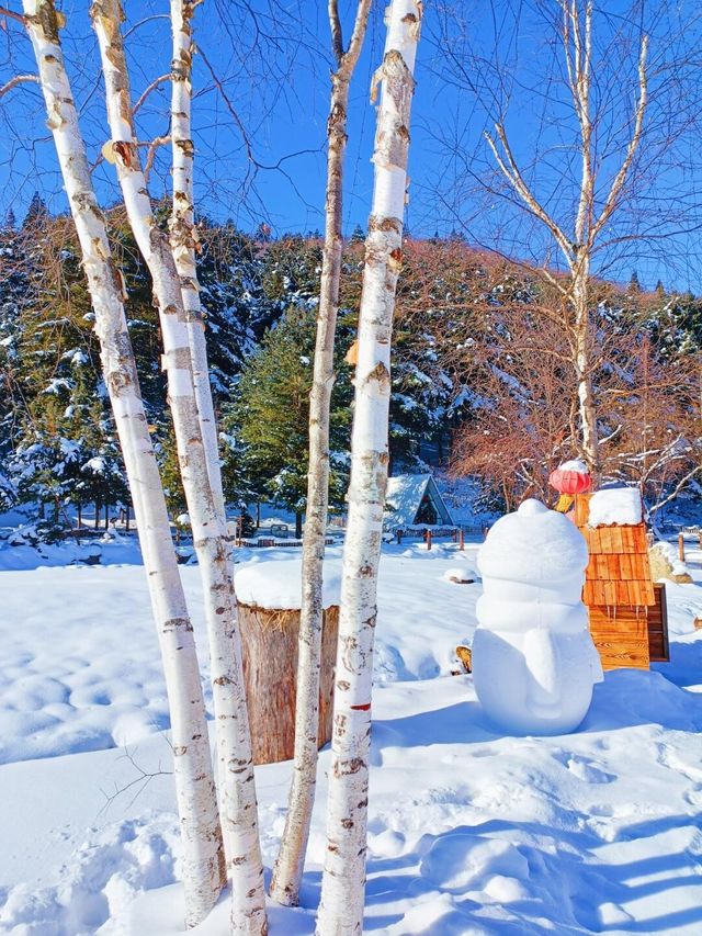 對不起了雪鄉，與之相比這裡更是童話世界！