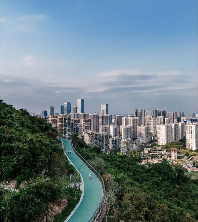 深圳徒步·休閒綠道適合新手任務