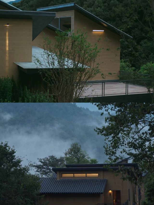 找到了山林裡的秘密基地