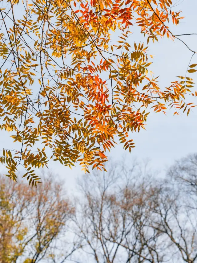 5-Day Tour of 5 Cities in East China + Wuzhen: A Detailed Guide