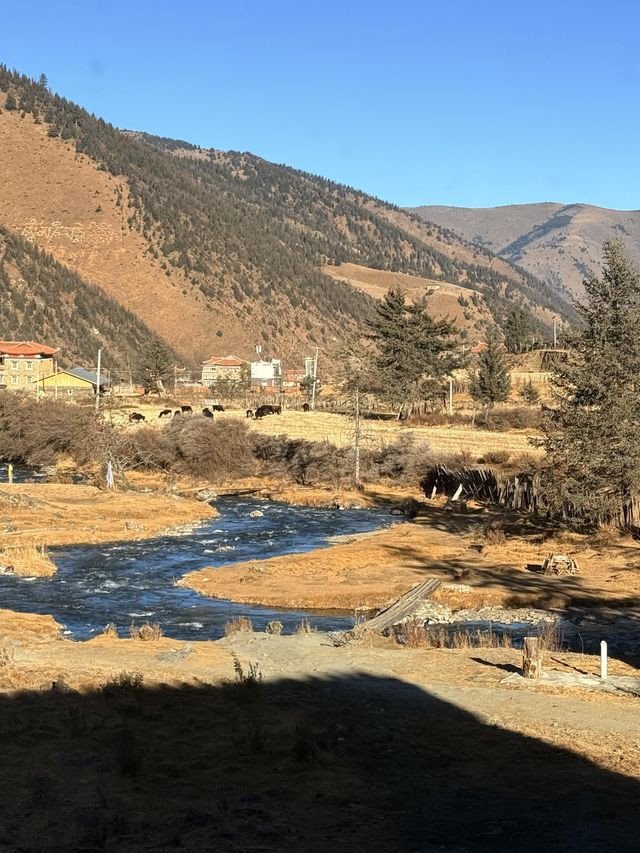 四川姑弄村｜雪山腳下的世外桃源