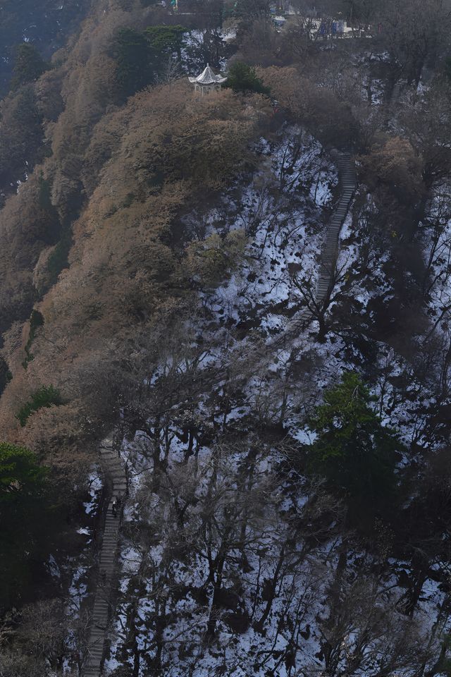 關於南五台的 plog｜「登山去，徒開心。」