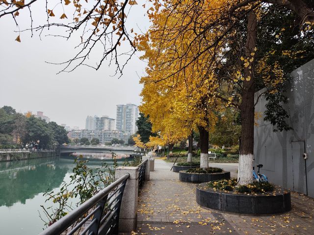 成都漫步·邂逅兩江抱城標誌景觀 成都漫步·邂逅兩江抱城標誌景觀