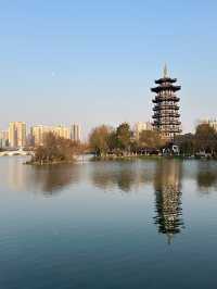 長沙洋湖濕地公園我拍的白鷺塔還可以吧？