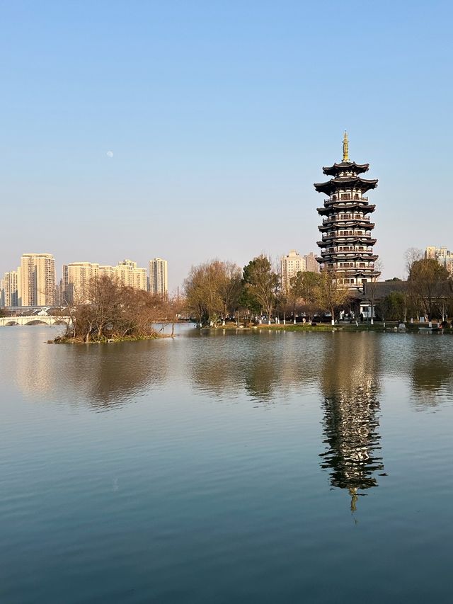 長沙洋湖濕地公園我拍的白鷺塔還可以吧？
