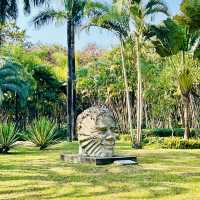 來深圳中心公園逛逛啦