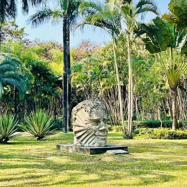 來深圳中心公園逛逛啦