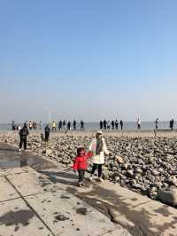 自駕天津東疆親海公園，帶娃看海鷗