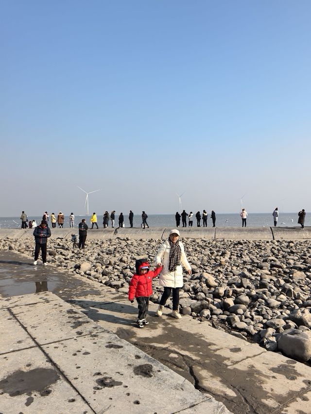 自駕天津東疆親海公園，帶娃看海鷗