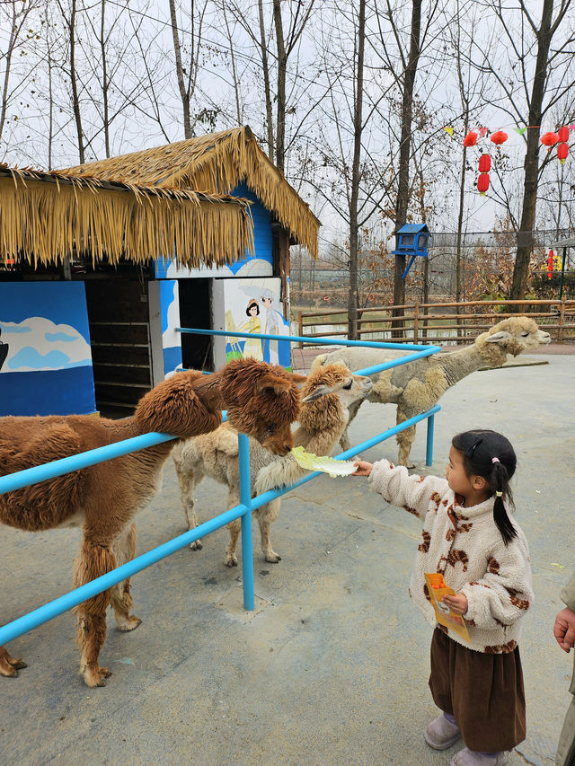 綿陽春節遛娃寶藏地 | 還會去10次的主題樂園