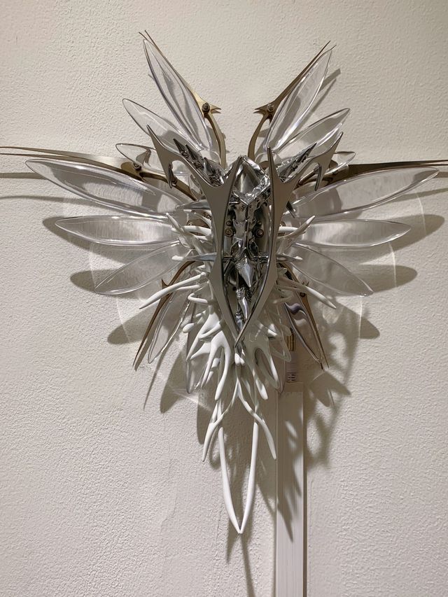 魔都免費睇展,根深亦自由 魔都免費睇展,根深亦自由