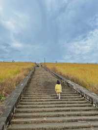 【潮汕輕旅行】湯溪秘境：一日遊精粹路線