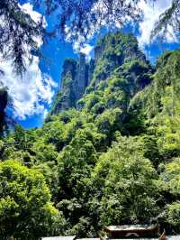 Mother of all Nature -Avatar Mountains!