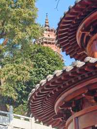 武漢旅遊 | 來寶通禪寺拜拜可以順道吸個貓