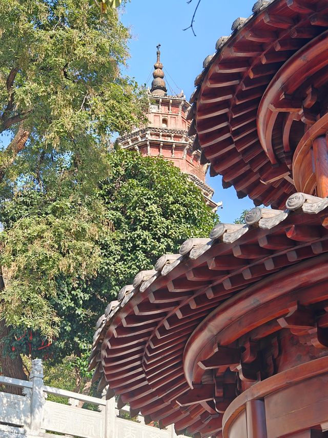 武漢旅遊 | 來寶通禪寺拜拜可以順道吸個貓