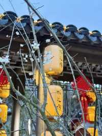 唐寅故里桃花塢
