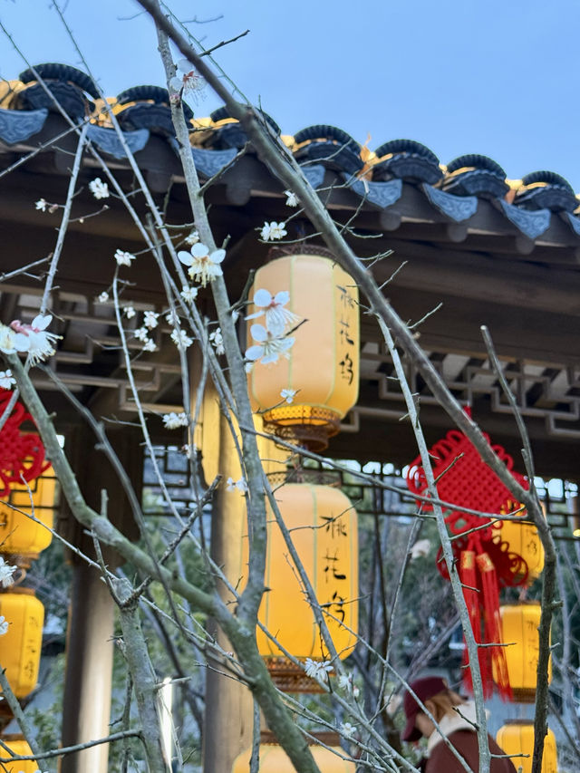 唐寅故里桃花塢