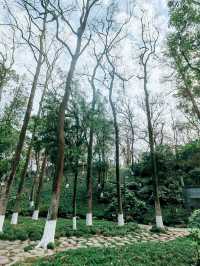 衢州孔子文化公園，古城之源，文化聖地