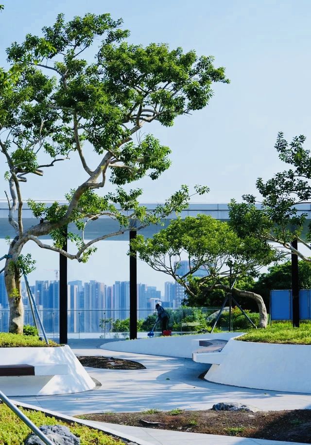 嶺南風情：有顏又有才的光明科學公園