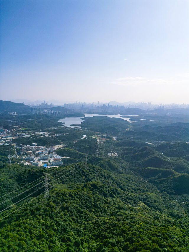 【救命！深圳呢座山治好咗我嘅一周焦慮症】
