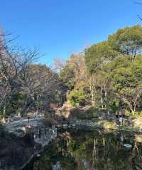 魯迅公園|藏在魔都市區內的寶藏公園一年四季都有著不同的景色