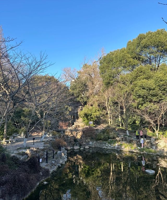 魯迅公園|藏在魔都市區內的寶藏公園一年四季都有著不同的景色