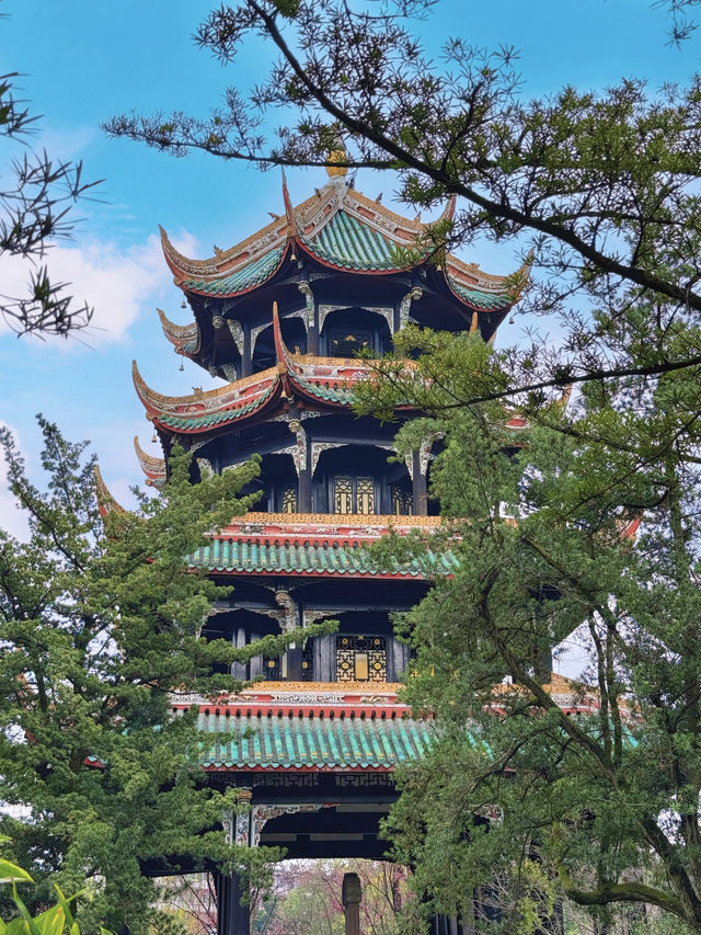 為了這個機位！我專門去了一趟成都！！！