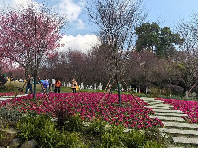 天氣好去植物園walk一下～