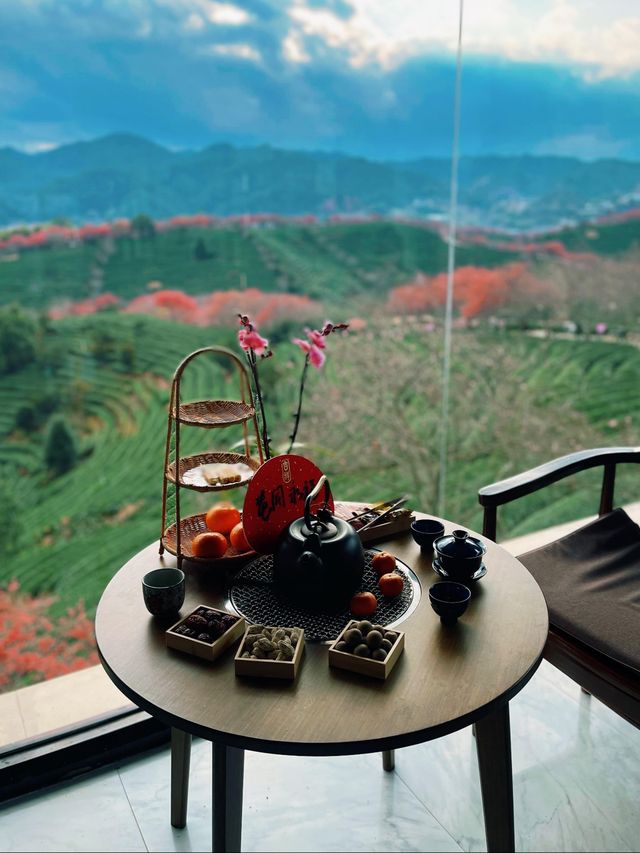 直擊《國家地理》封面級櫻花仙境! 直擊《國家地理》封面級櫻花仙境!