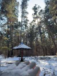 長白山天池2日遊全攻略 玩轉美景不留遺憾