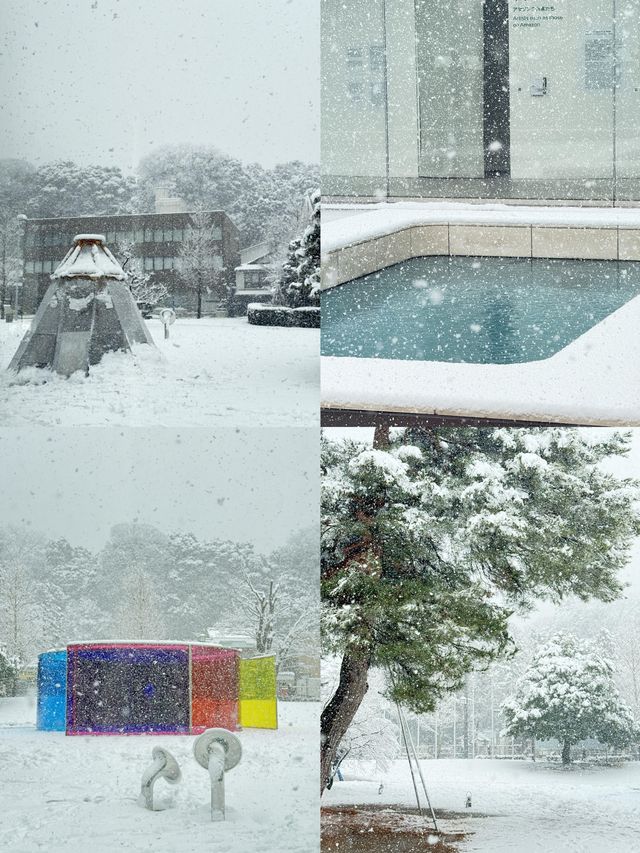 福井：解鎖日本小眾旅行的隱秘角落