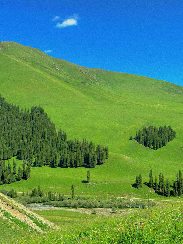 新疆旅遊｜人生是一場荒涼又熱烈的旅途
