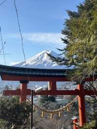 6日深度遊日本 超實用攻略在此