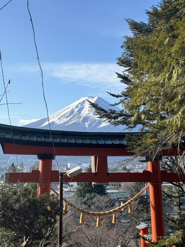 6日深度遊日本 超實用攻略在此