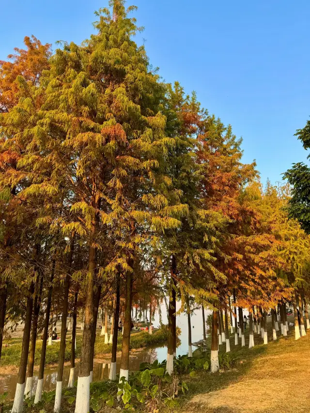 8-Day Australian Adventure: Your Ultimate Guide