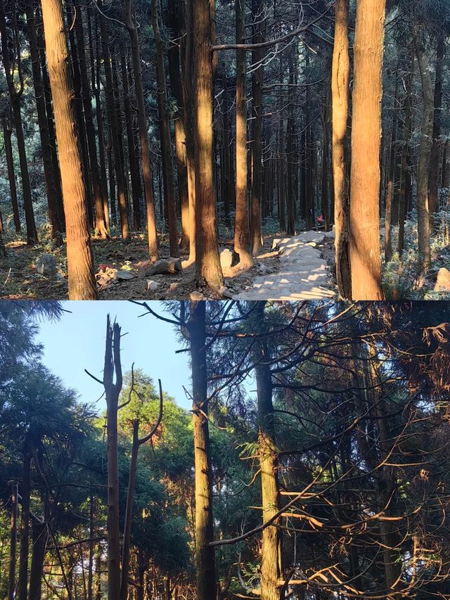 探索廣西貴港平天山，美不勝收！