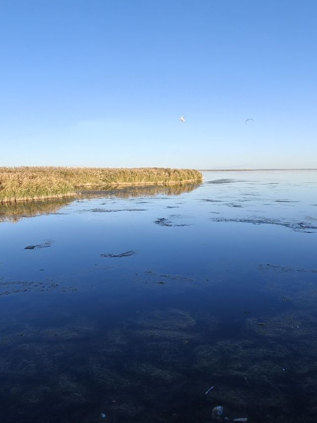 6天暢遊阿拉善-烏海 超全攻略 玩轉兩地不留遺憾
