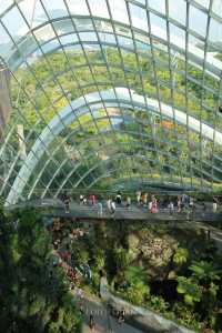 Discover the Wonders of Singapore's Gardens by the Bay