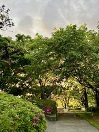 悠然綠意：天王寺公園漫步時光