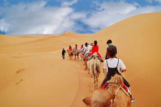 Your personal travel assistant for chartered car services in Ningxia.
