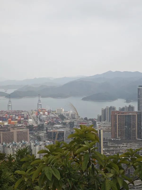 恩上濕地公園：期待與現實