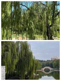 探索古韻邢襄，醉美中國邢臺