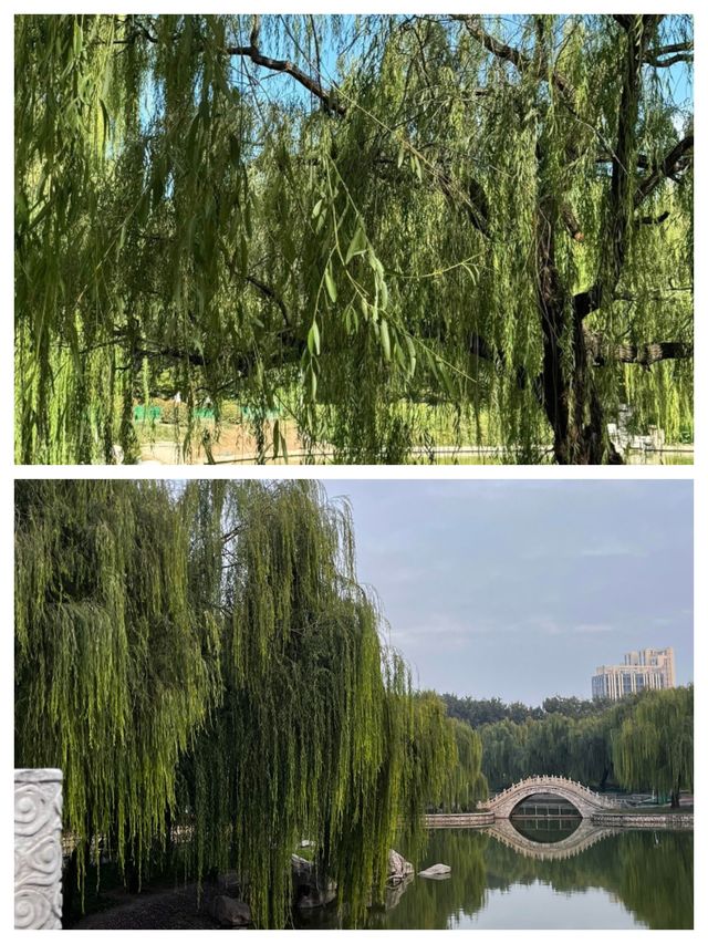 探索古韻邢襄，醉美中國邢臺